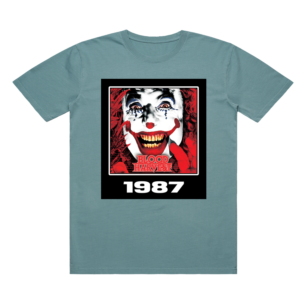 Apparel-DTG-TShirt-ASC-5065-L-FadedSlate-Unisex-CF-20250220050326477