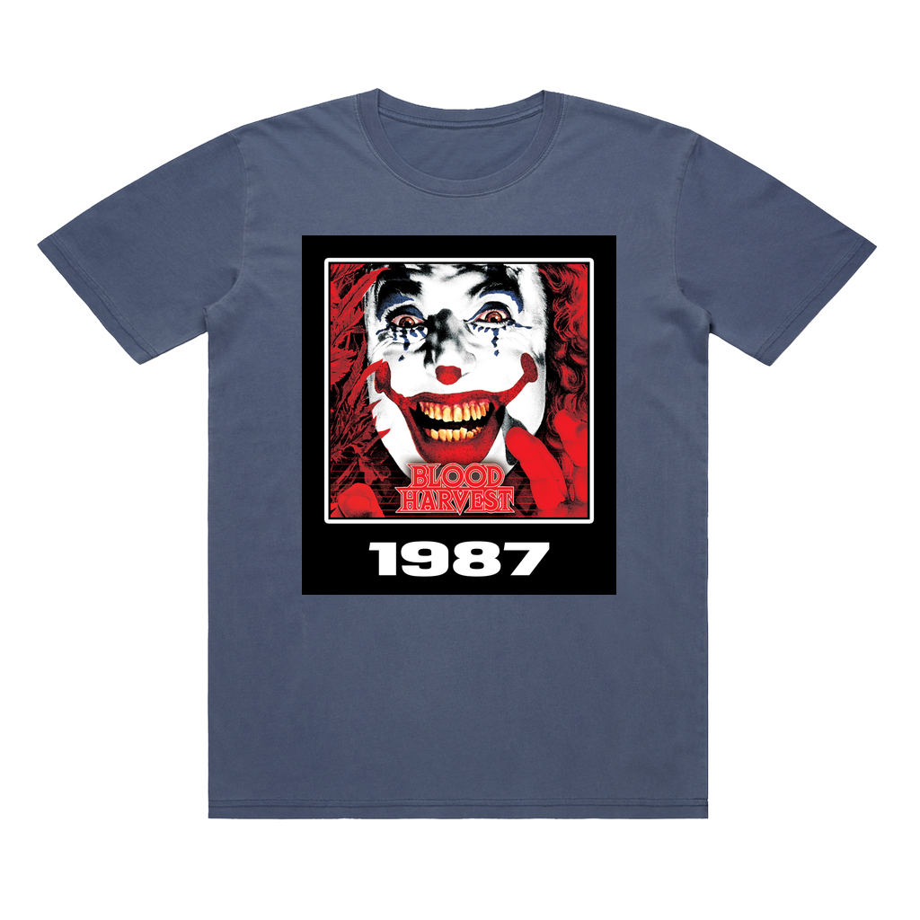 Apparel-DTG-TShirt-ASC-5065-2XL-FadedBlue-Unisex-CF-20250220050326478