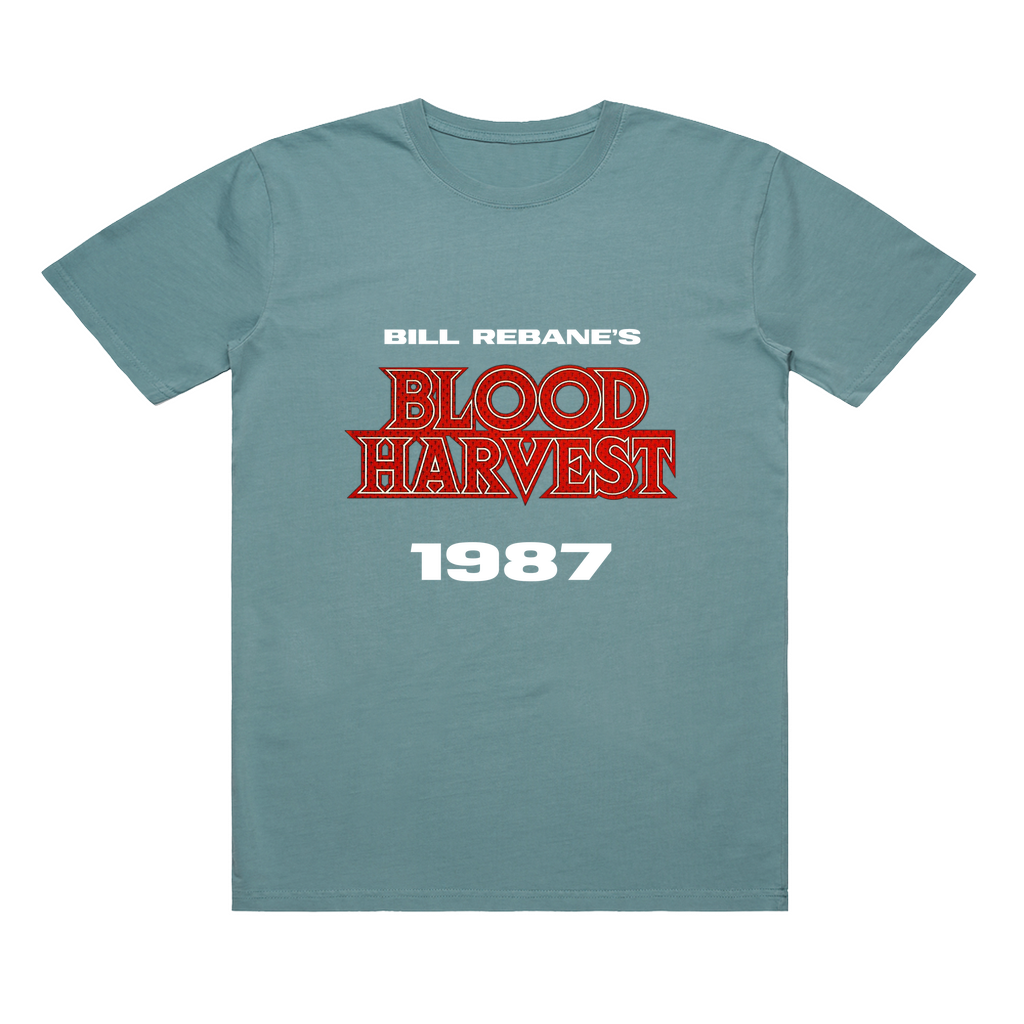Apparel-DTG-TShirt-ASC-5065-XL-FadedSlate-Unisex-CF-20250220063531664